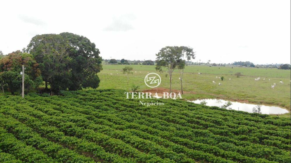 Sítio, 48 hectares - Foto 2