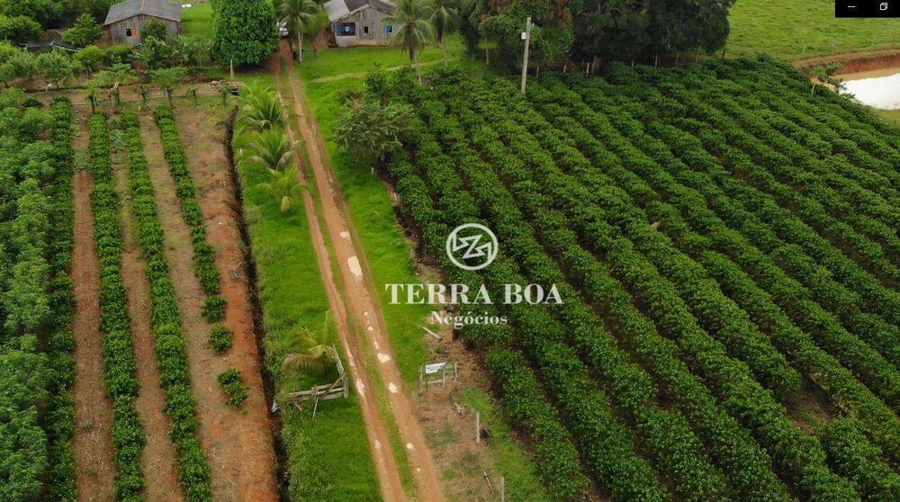 Sítio, 48 hectares - Foto 3