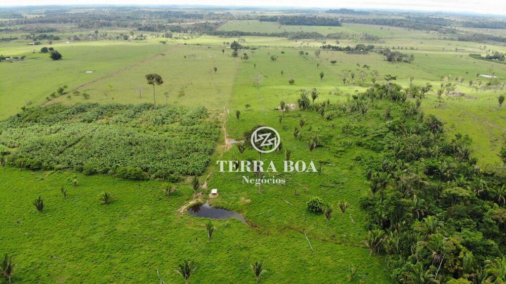 Sítio, 48 hectares - Foto 7