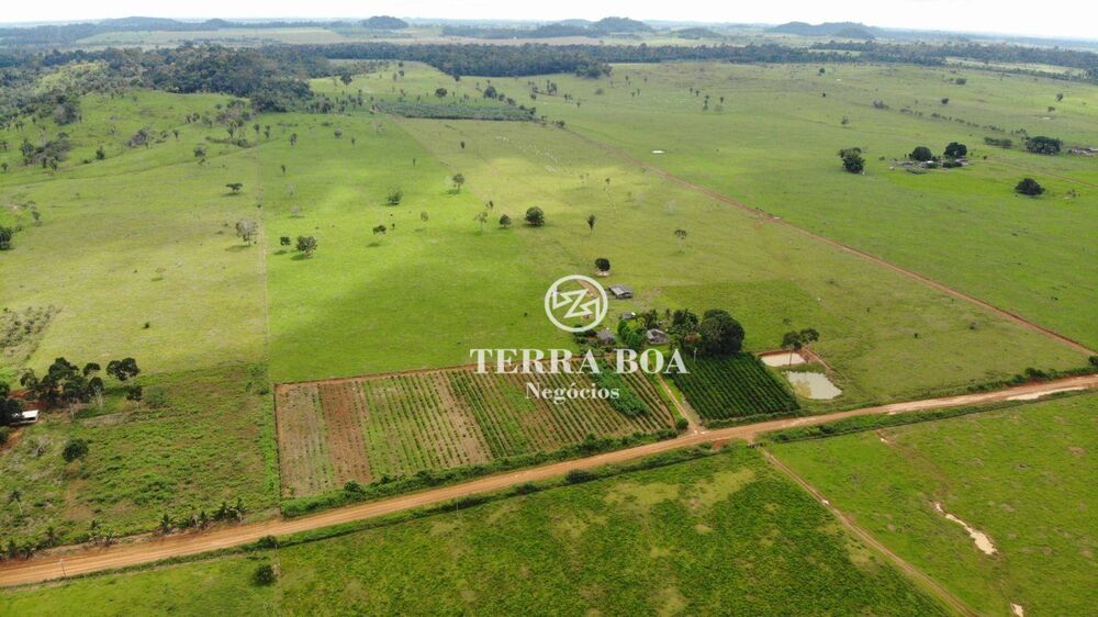 Sítio, 48 hectares - Foto 8