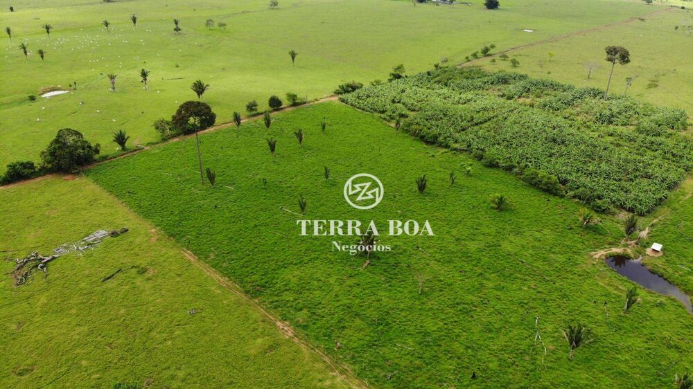 Sítio, 48 hectares - Foto 6