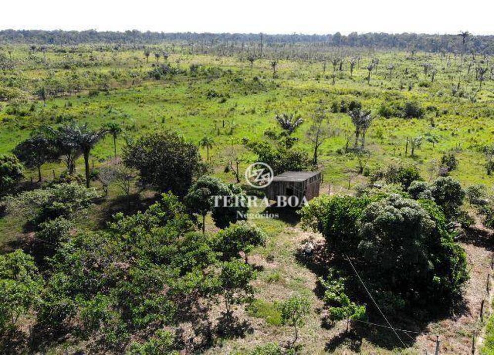 Sítio, 44 hectares - Foto 8