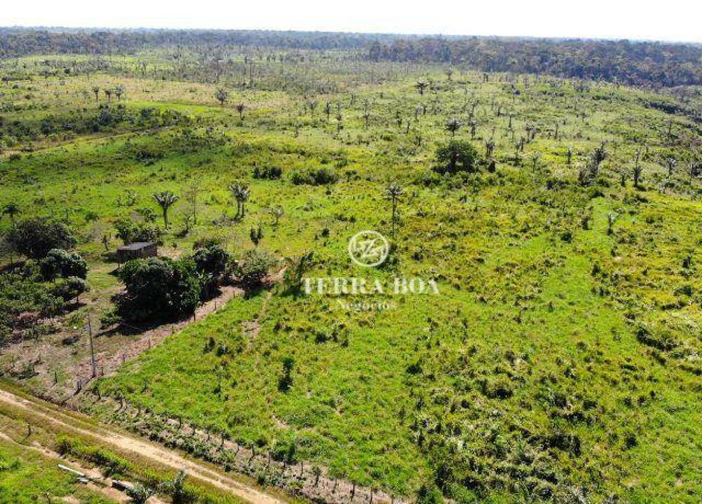 Sítio, 44 hectares - Foto 6