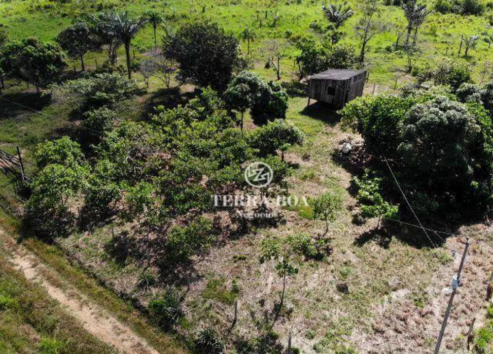 Sítio, 44 hectares - Foto 3