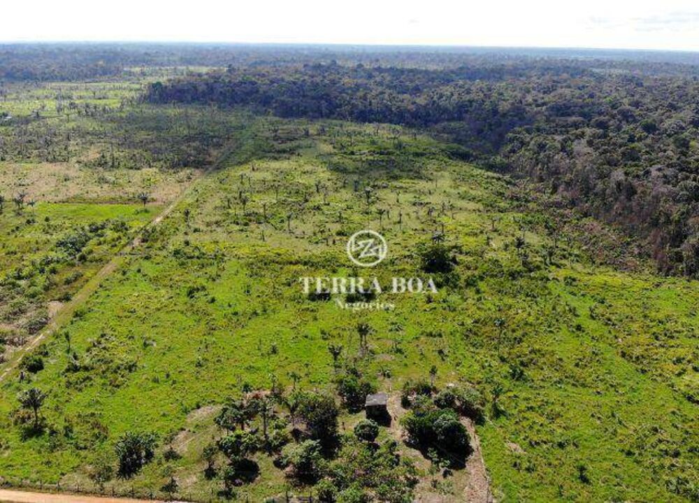 Sítio, 44 hectares - Foto 1