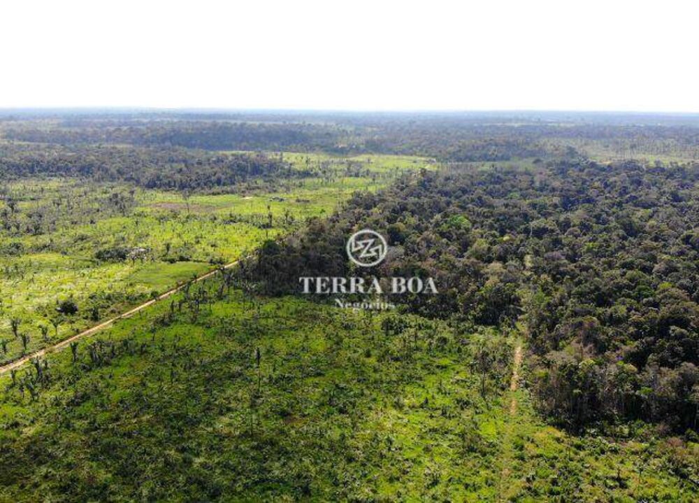 Sítio, 44 hectares - Foto 4