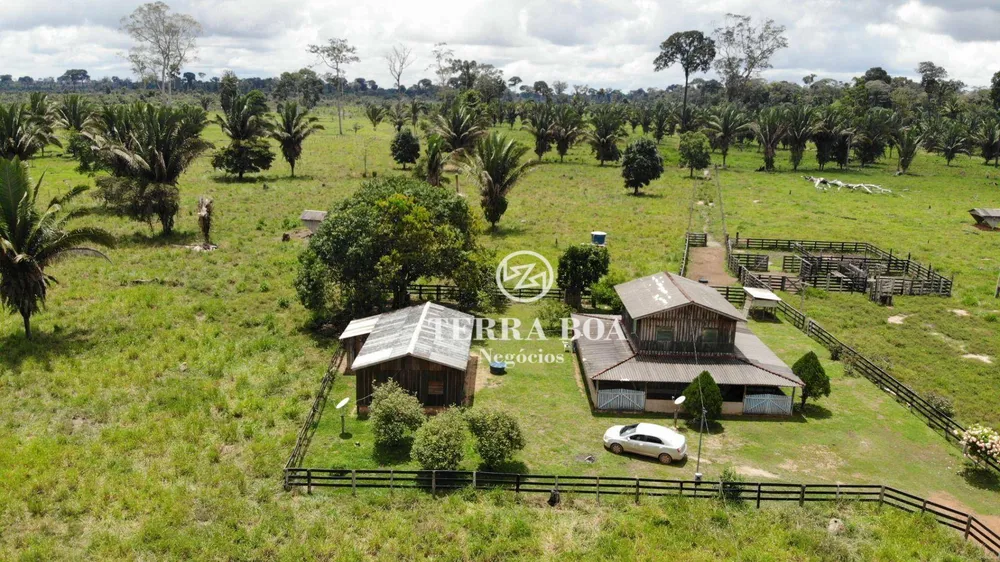 Sítio, 53 hectares - Foto 7