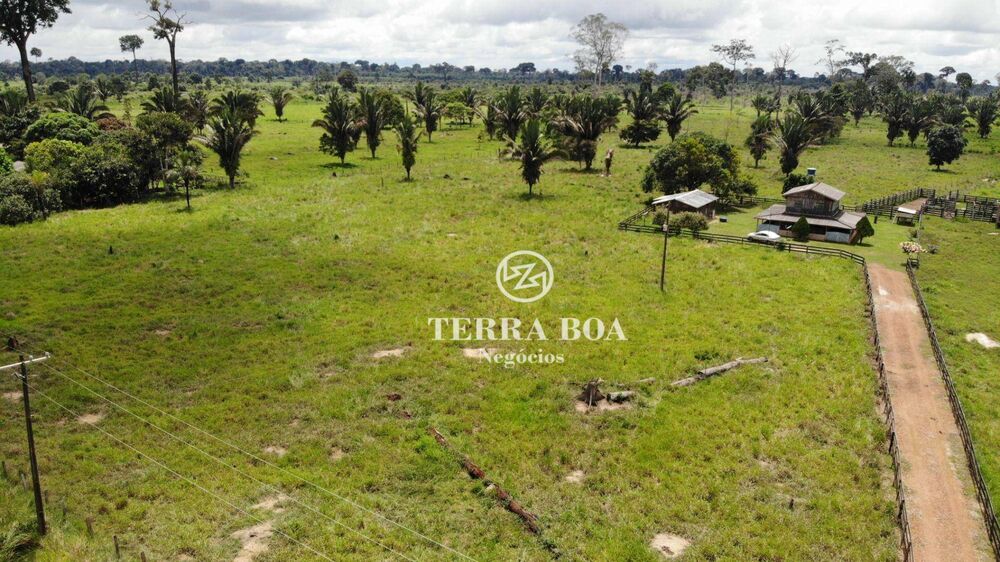 Sítio, 53 hectares - Foto 9