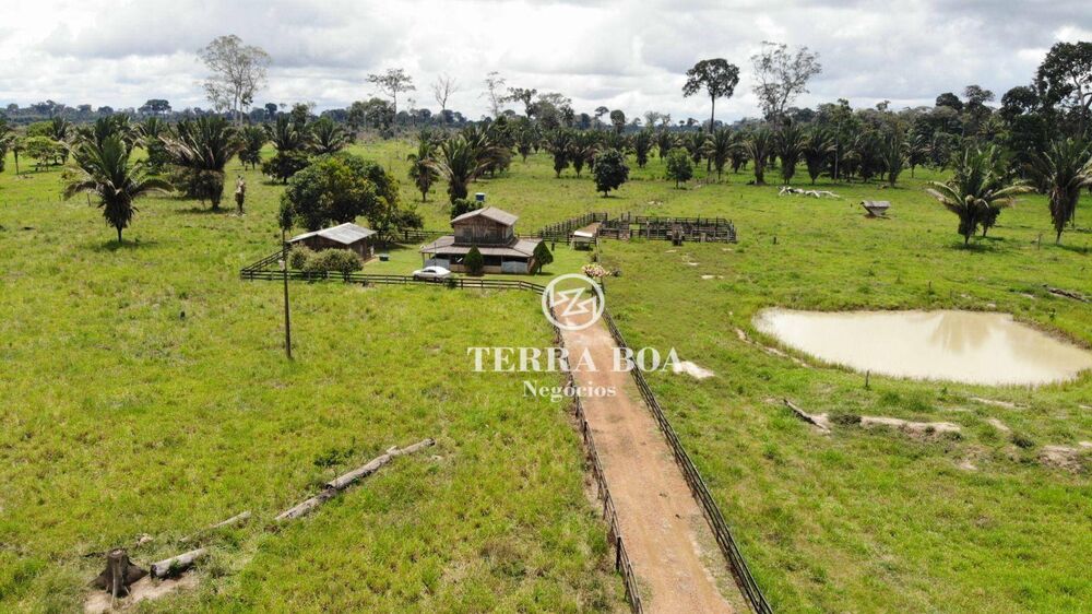 Sítio, 53 hectares - Foto 8