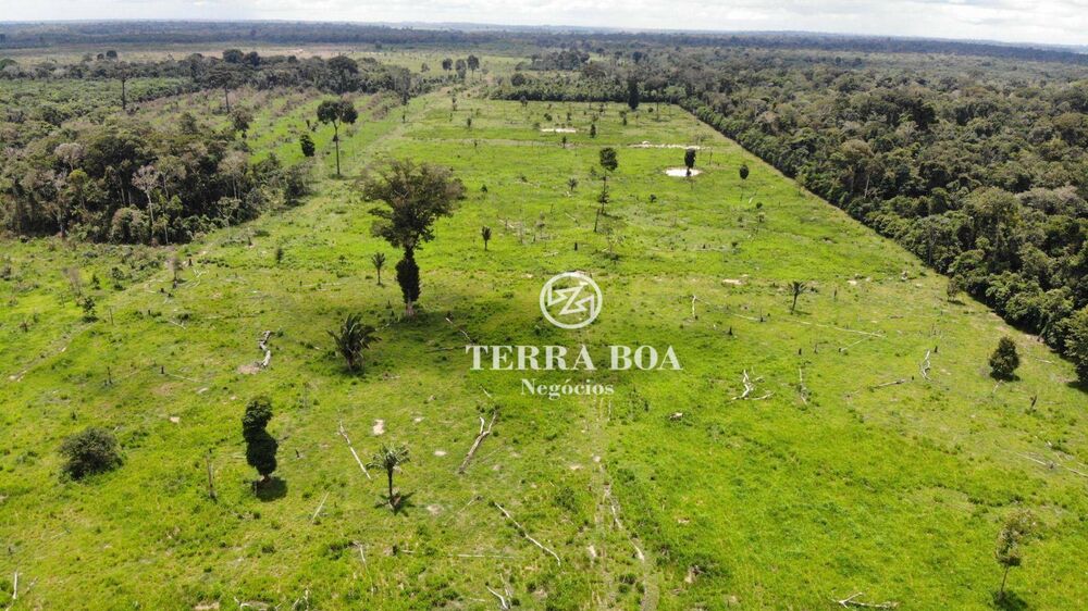 Sítio, 53 hectares - Foto 10