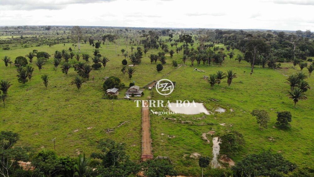 Sítio, 53 hectares - Foto 12