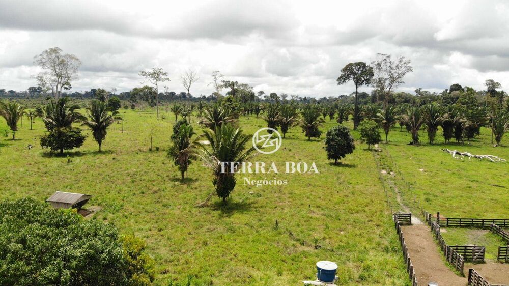 Sítio, 53 hectares - Foto 7