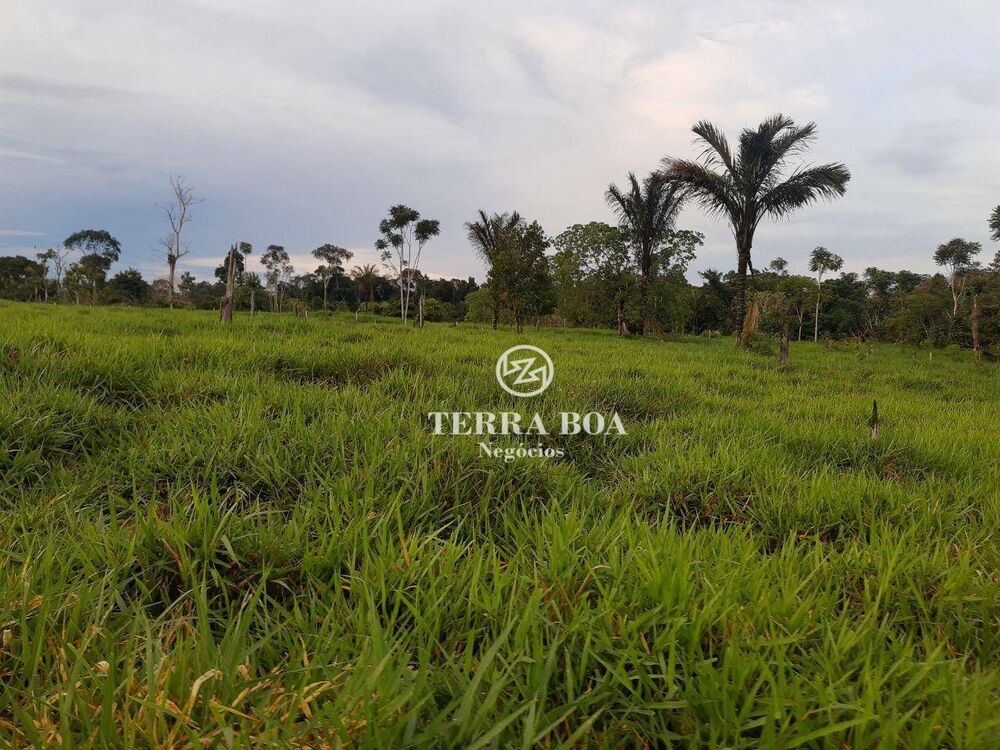 Sítio, 53 hectares - Foto 2