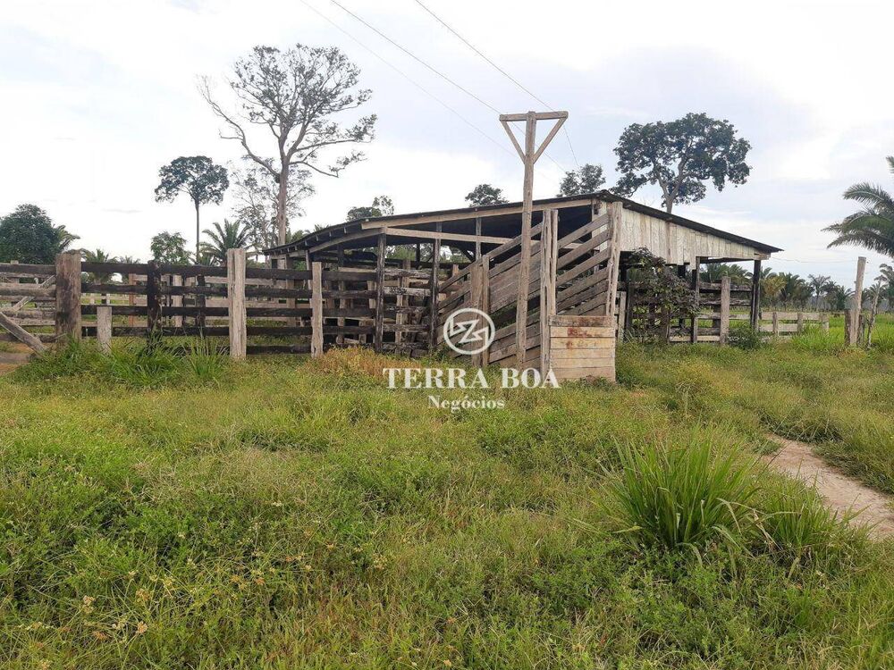 Sítio, 53 hectares - Foto 3