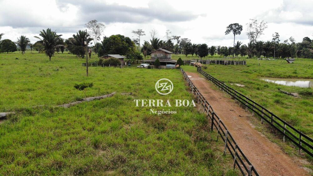 Sítio, 53 hectares - Foto 11