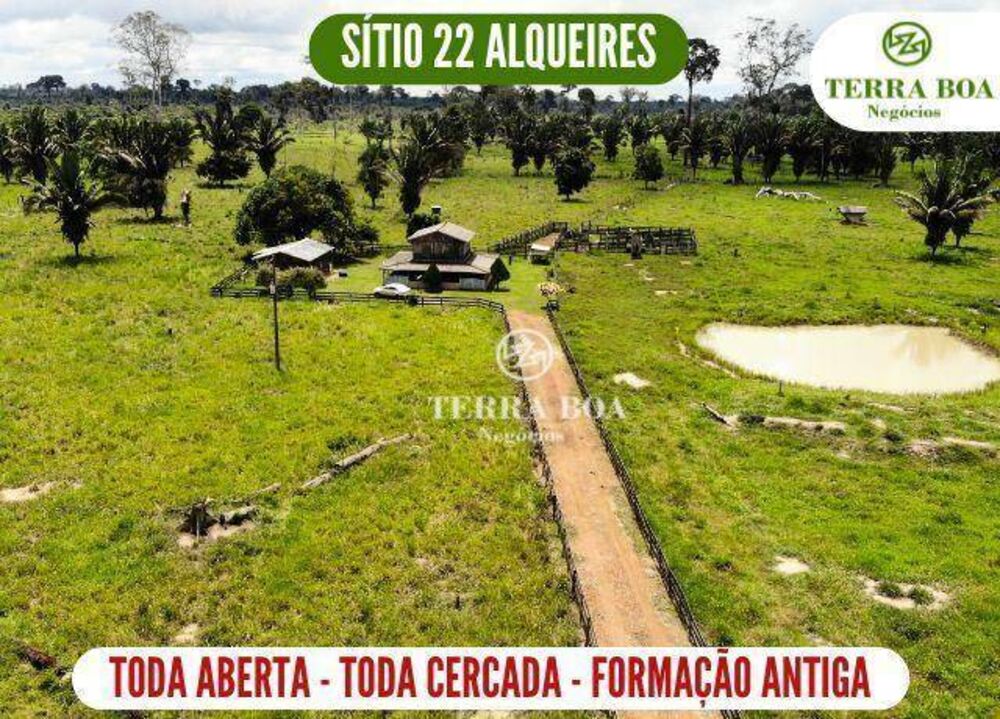Sítio, 53 hectares - Foto 1