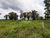 Sítio, 53 hectares - Foto 4