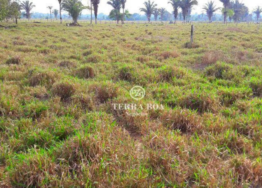 Fazenda, 179 hectares - Foto 4