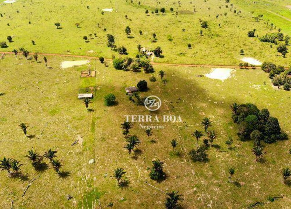 Fazenda, 179 hectares - Foto 7