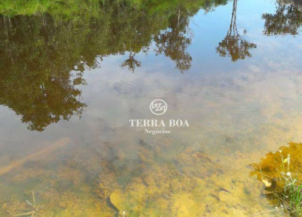 Fazenda, 179 hectares - Foto 2