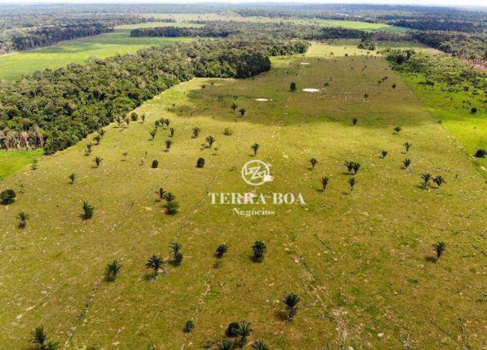 Fazenda, 179 hectares - Foto 5