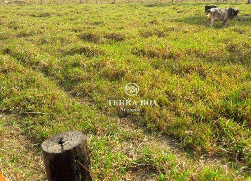 Fazenda, 179 hectares - Foto 3
