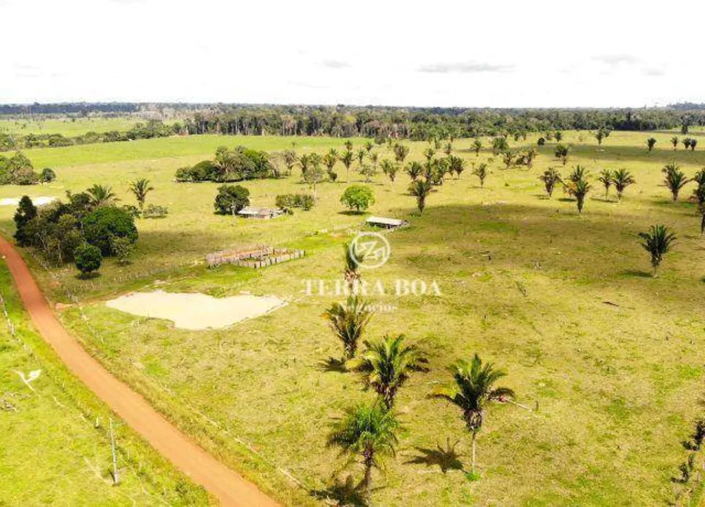 Fazenda, 179 hectares - Foto 3