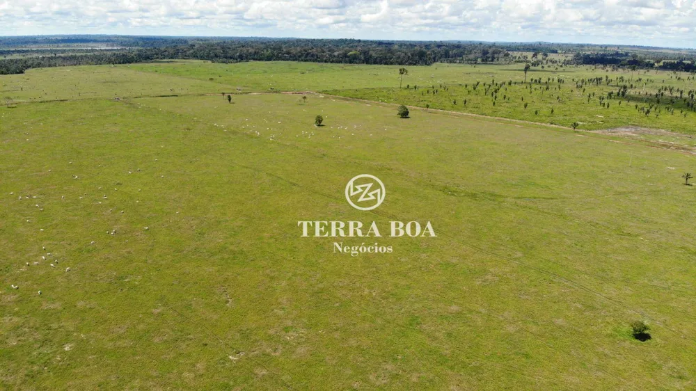 Fazenda, 436 hectares - Foto 3
