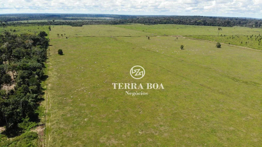 Fazenda, 436 hectares - Foto 4