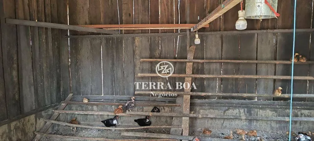 Chácara, 2 quartos, 5000 m² - Foto 13