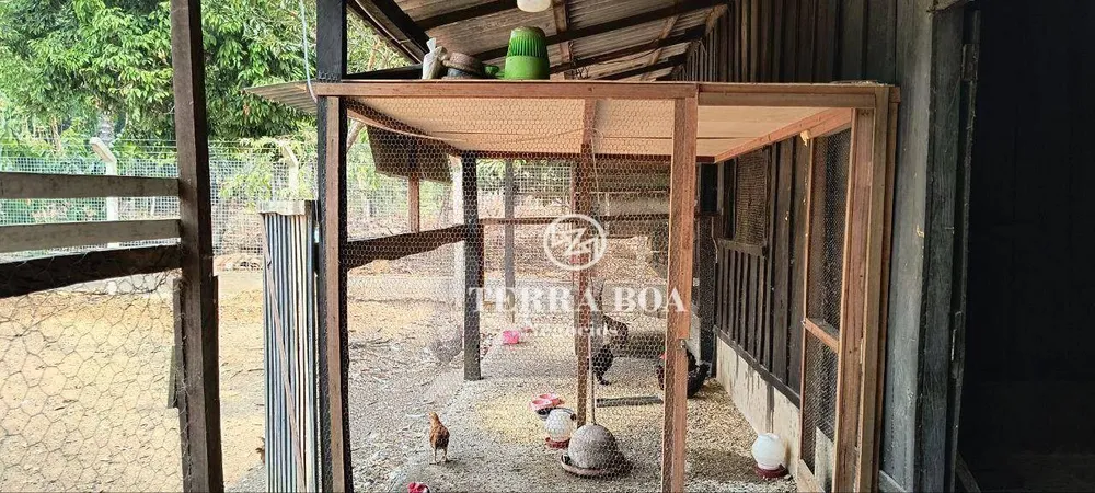 Chácara, 2 quartos, 5000 m² - Foto 12