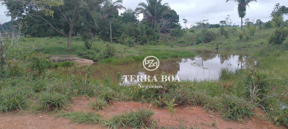 Chácara, 24 hectares - Foto 6
