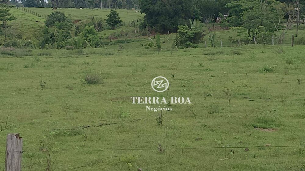 Chácara, 24 hectares - Foto 1