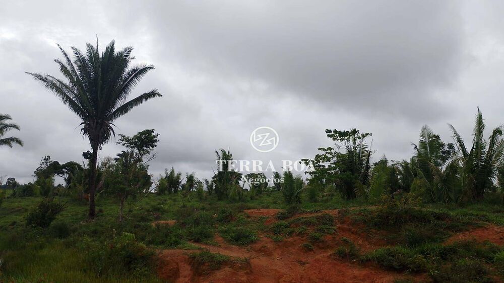 Chácara, 24 hectares - Foto 4