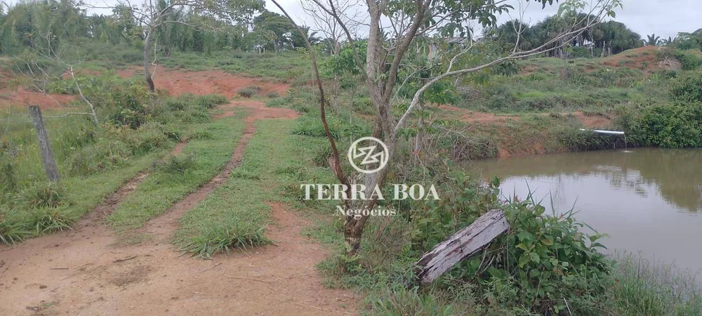 Chácara, 24 hectares - Foto 13