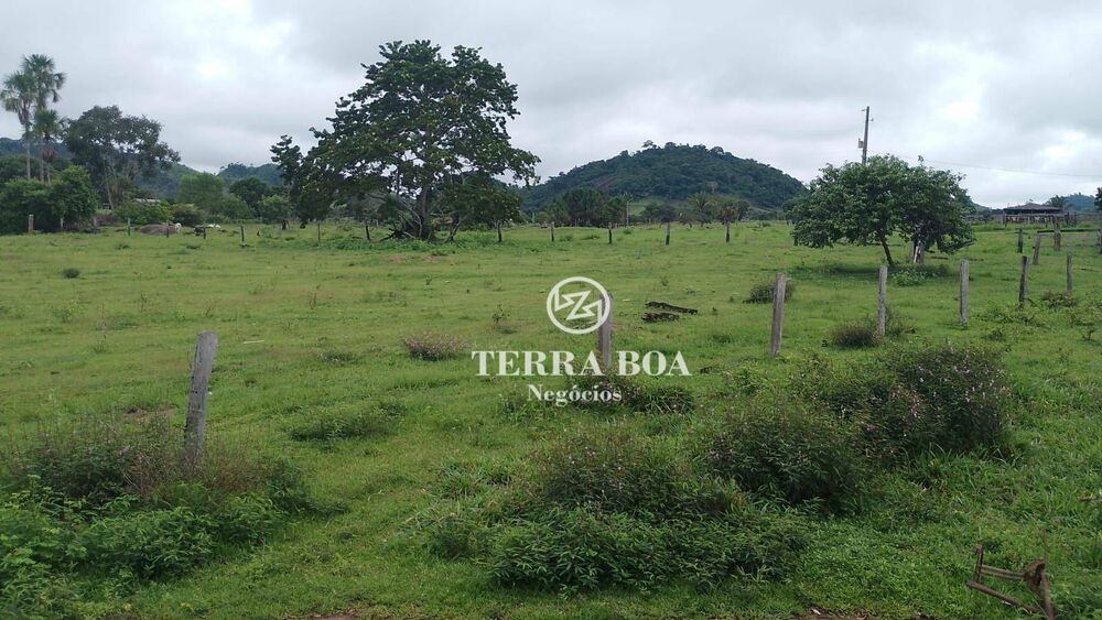 Chácara, 24 hectares - Foto 3