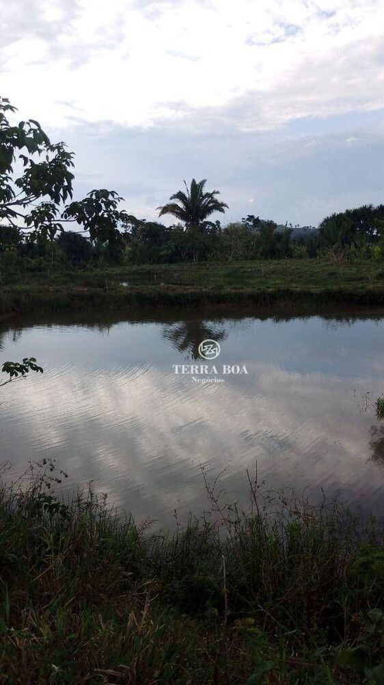 Chácara, 24 hectares - Foto 8