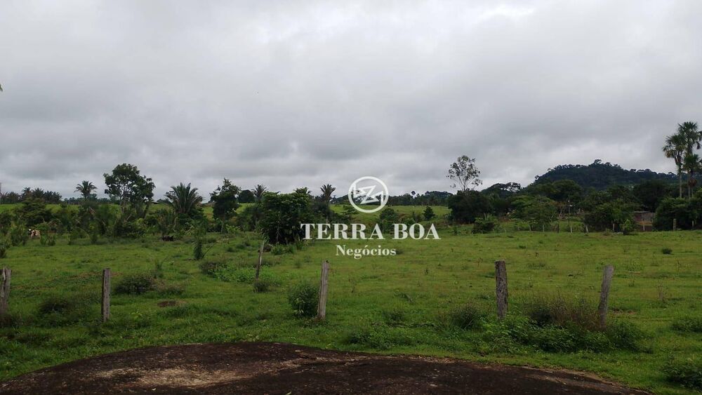 Chácara, 24 hectares - Foto 2