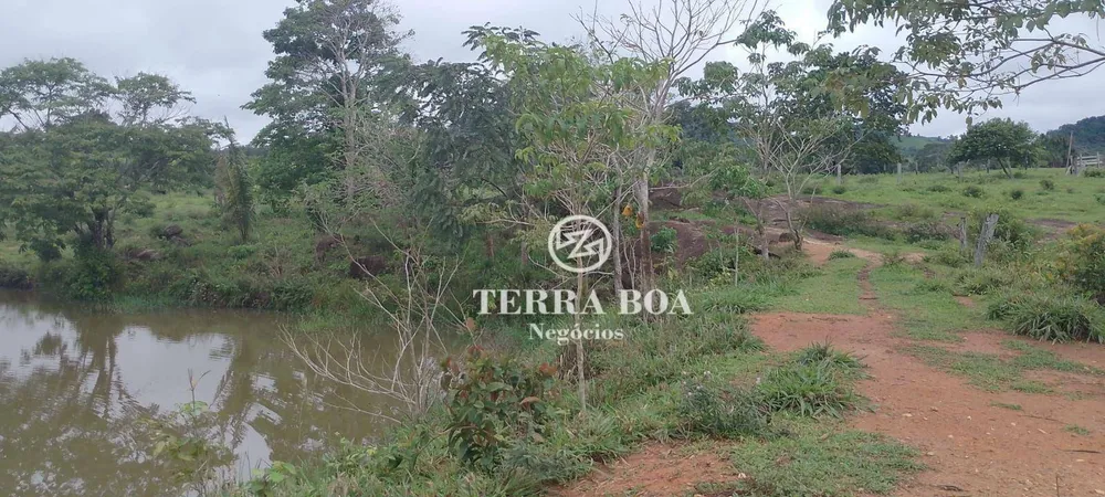 Chácara, 24 hectares - Foto 10