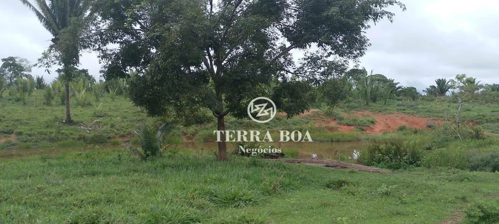 Chácara, 24 hectares - Foto 14