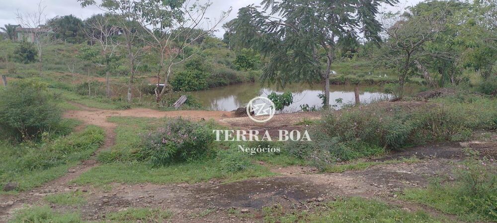 Chácara, 24 hectares - Foto 5