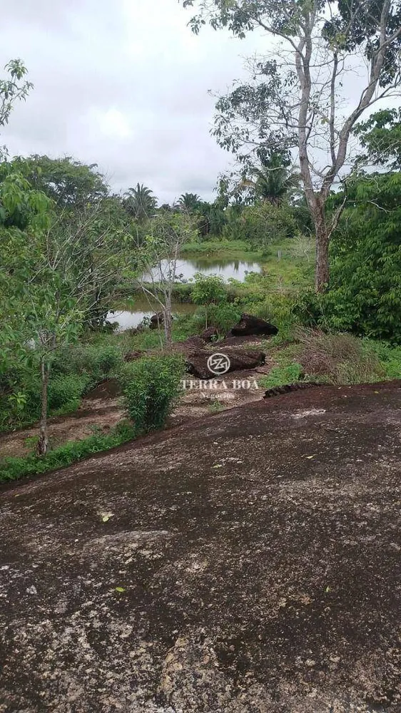 Chácara, 24 hectares - Foto 19