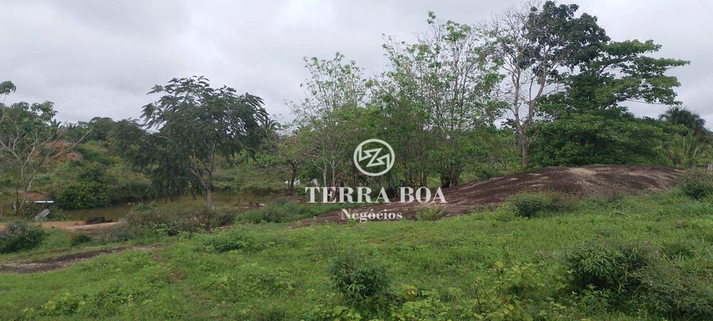 Chácara, 24 hectares - Foto 7