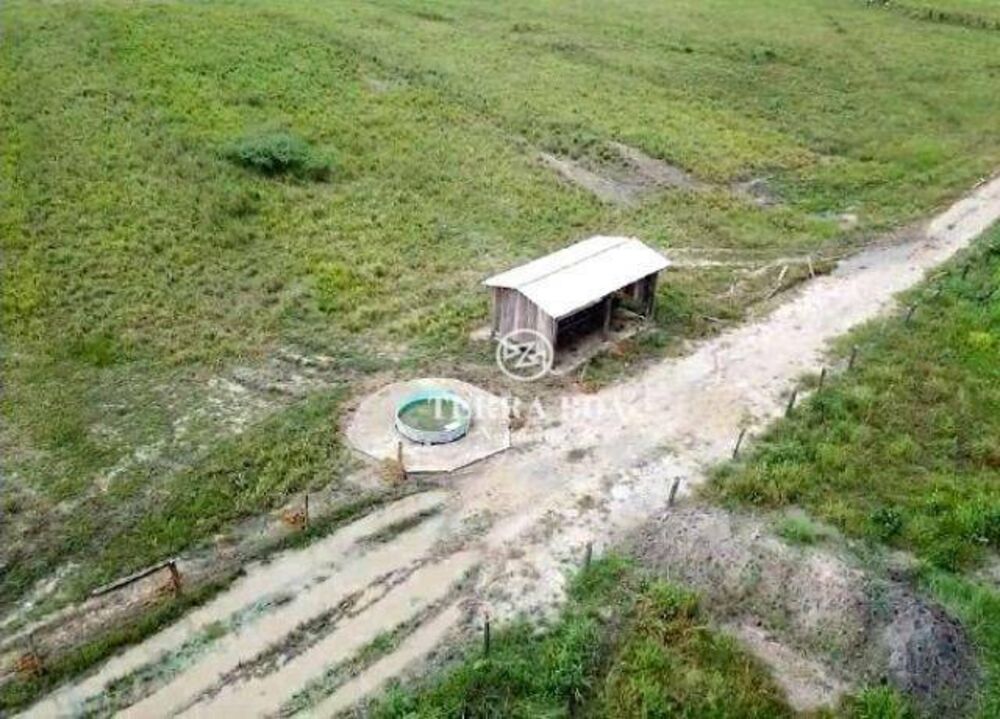 Fazenda-Sítio-Chácara, 400 hectares - Foto 4