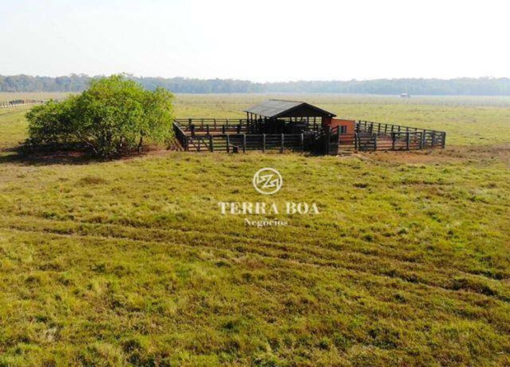 Fazenda-Sítio-Chácara, 400 hectares - Foto 2