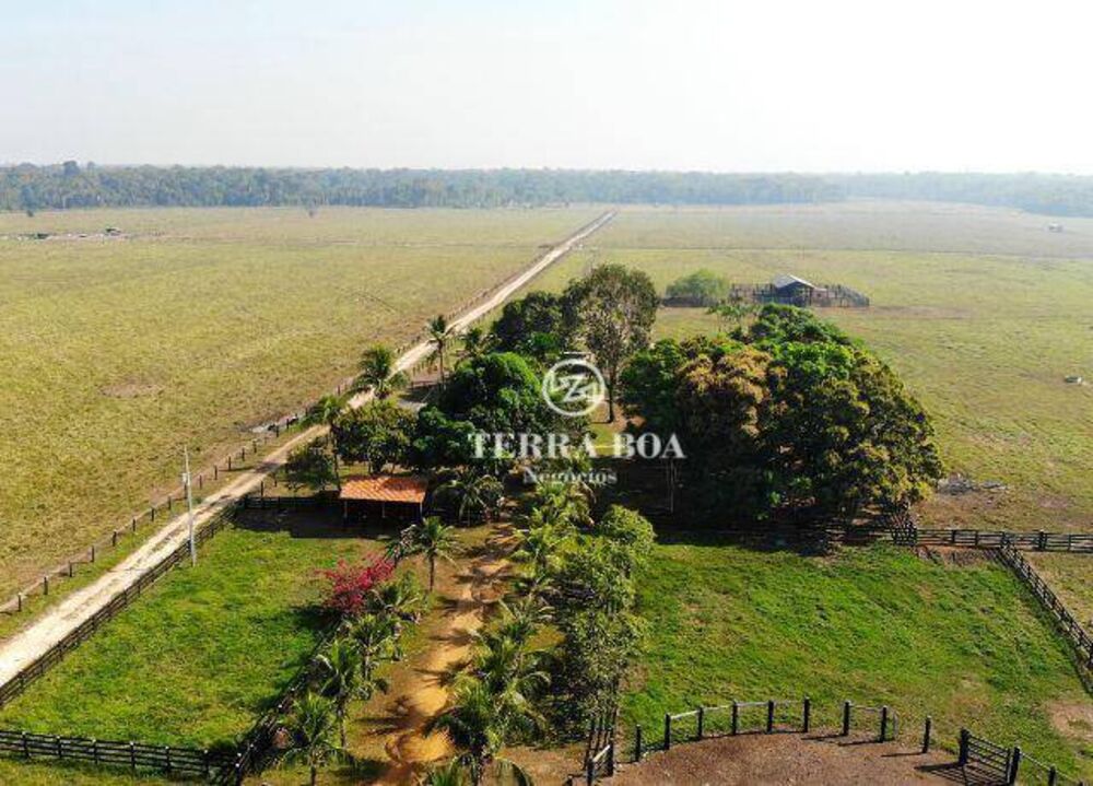 Fazenda-Sítio-Chácara, 400 hectares - Foto 5