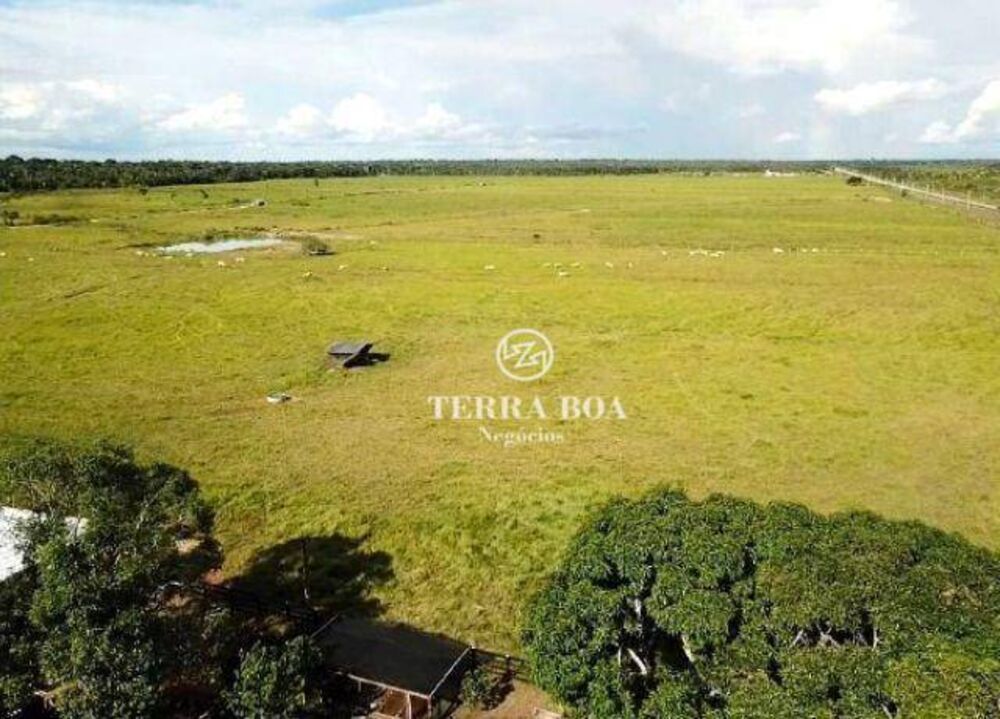 Fazenda-Sítio-Chácara, 400 hectares - Foto 6