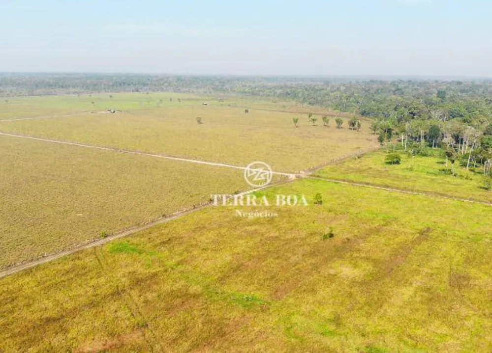 Fazenda, 400 hectares - Foto 12