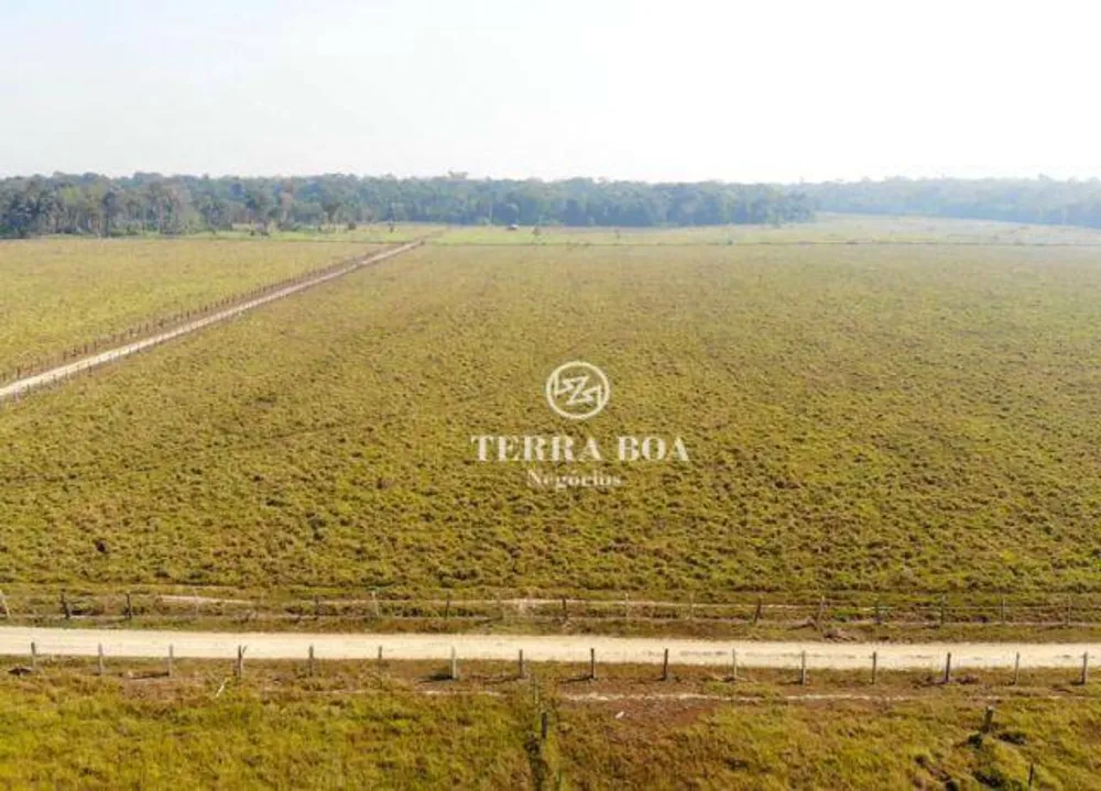 Fazenda, 400 hectares - Foto 3