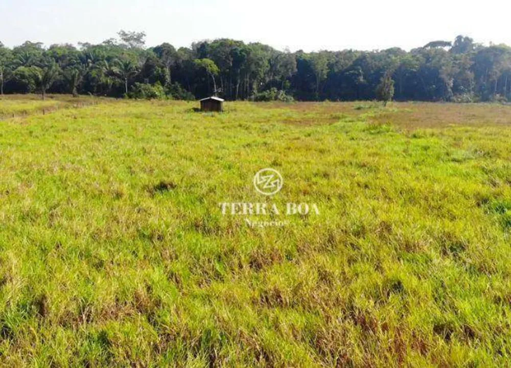 Fazenda, 400 hectares - Foto 7